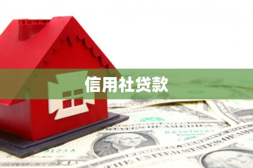 义竹信用社贷款