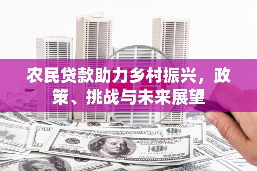 义竹农民贷款助力乡村振兴，政策、挑战与未来展望