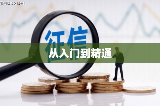 义竹从入门到精通