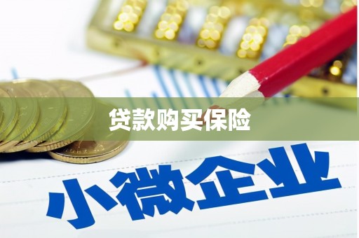 义竹贷款购买保险