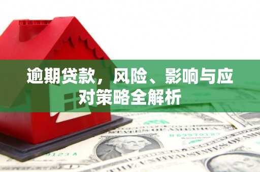 义竹逾期贷款，风险、影响与应对策略全解析
