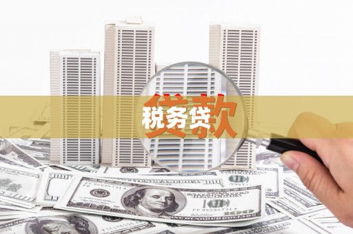 义竹税务贷