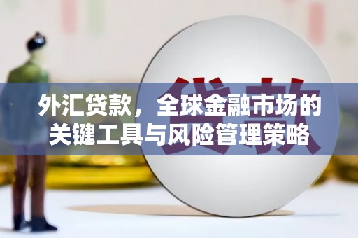 义竹外汇贷款，全球金融市场的关键工具与风险管理策略