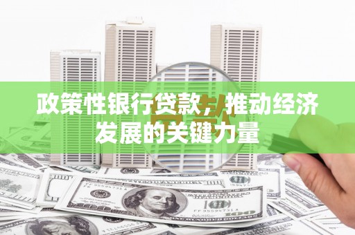义竹政策性银行贷款，推动经济发展的关键力量