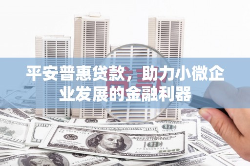义竹平安普惠贷款，助力小微企业发展的金融利器