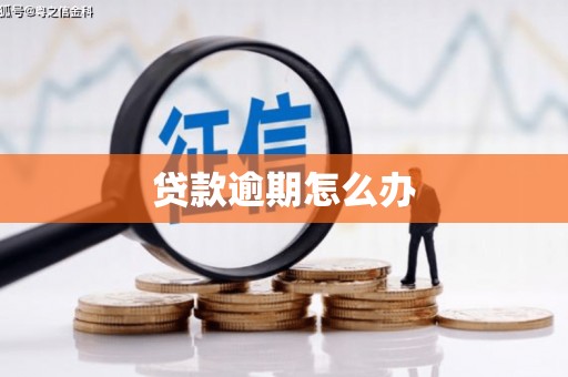 义竹贷款逾期怎么办