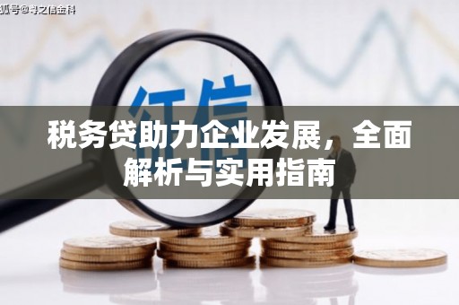 义竹税务贷助力企业发展，全面解析与实用指南