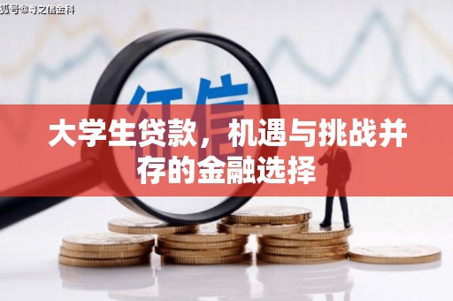 义竹大学生贷款，机遇与挑战并存的金融选择