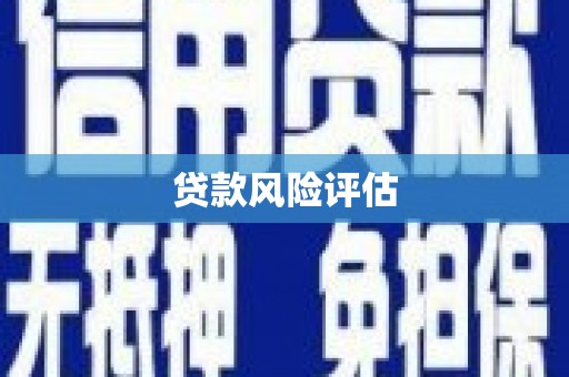 义竹贷款风险评估