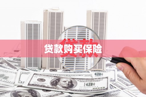 义竹贷款购买保险