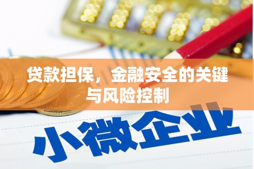 义竹贷款担保，金融安全的关键与风险控制