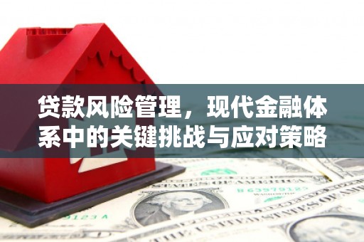 义竹贷款风险管理，现代金融体系中的关键挑战与应对策略