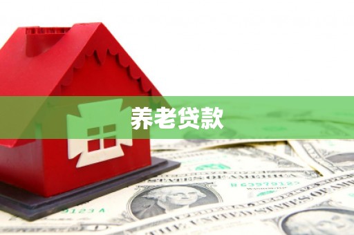 义竹养老贷款