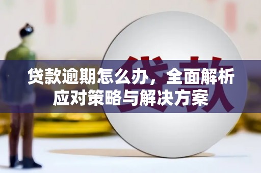 义竹贷款逾期怎么办，全面解析应对策略与解决方案