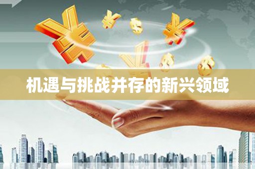 义竹机遇与挑战并存的新兴领域