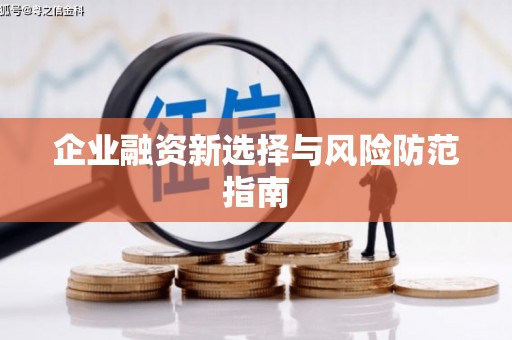 义竹企业融资新选择与风险防范指南