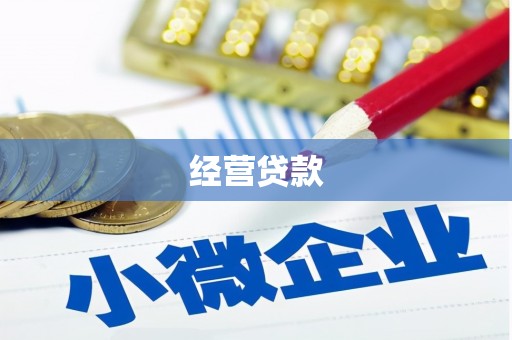义竹经营贷款