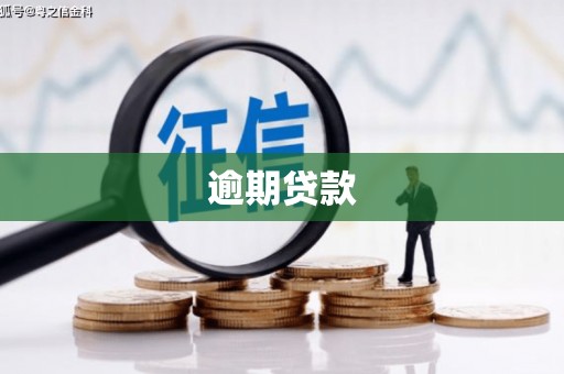 义竹逾期贷款